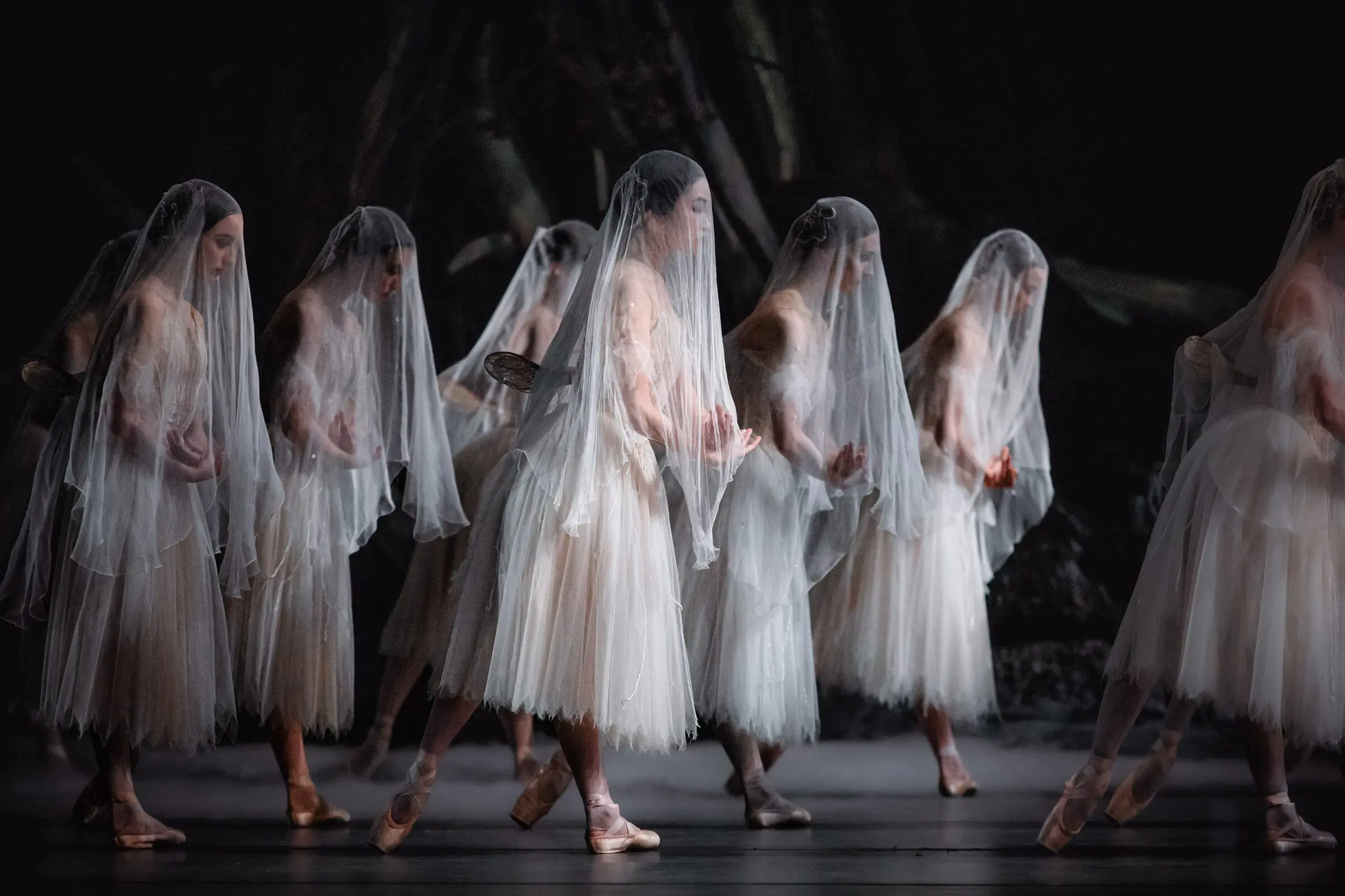 The Royal Opera & Ballet Giselle -Wheel Chair Ticket