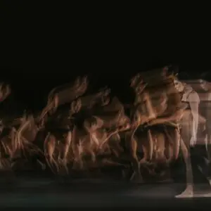 The Royal Opera & Ballet Woolf Works -Wheel Chair Ticket