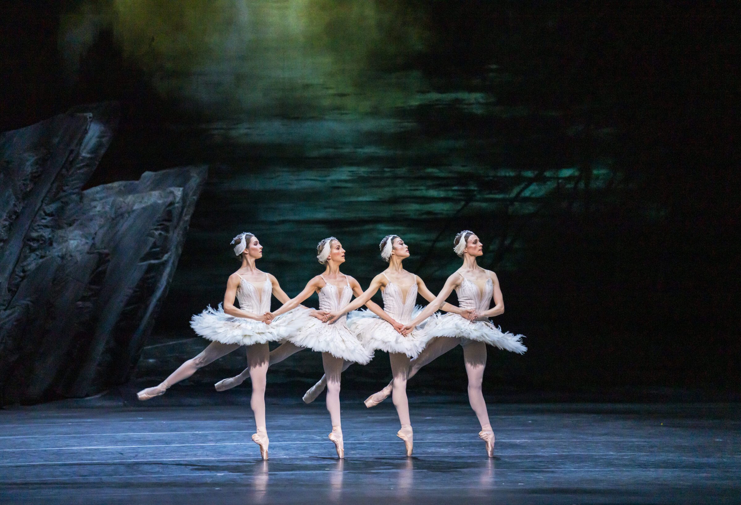Swan Lake Wheel Chair Ticket - Image 4