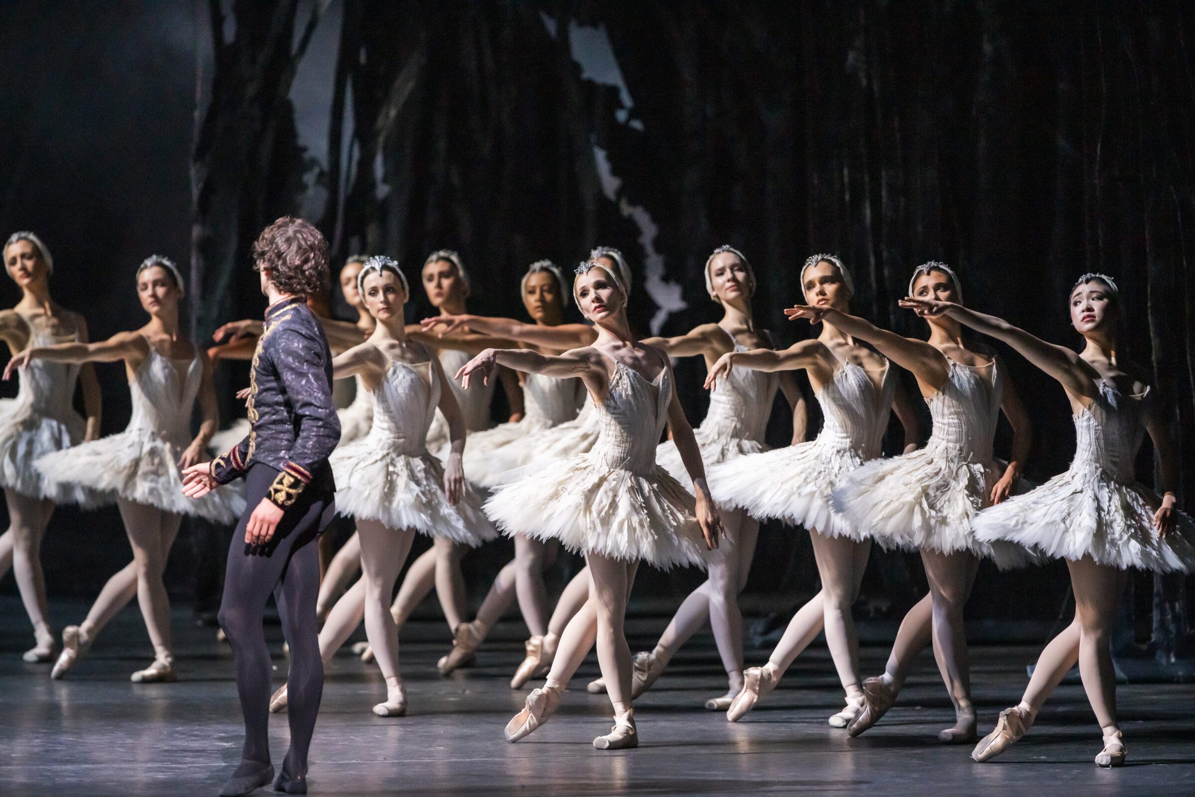 Swan Lake Wheel Chair Ticket - Image 3
