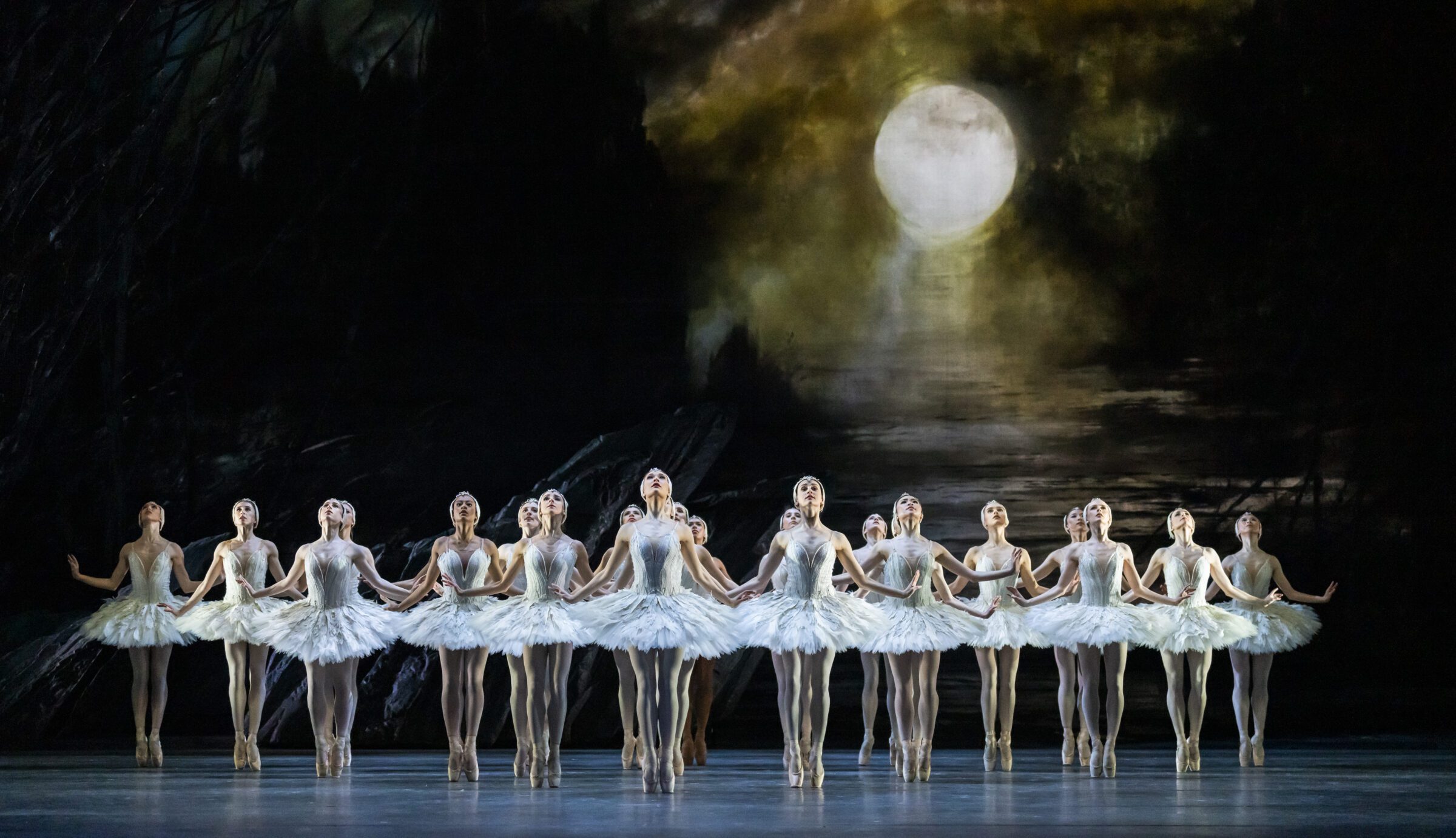 Swan Lake Wheel Chair Ticket - Image 2