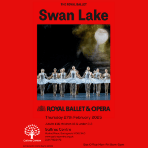 Swan Lake Wheel Chair Ticket