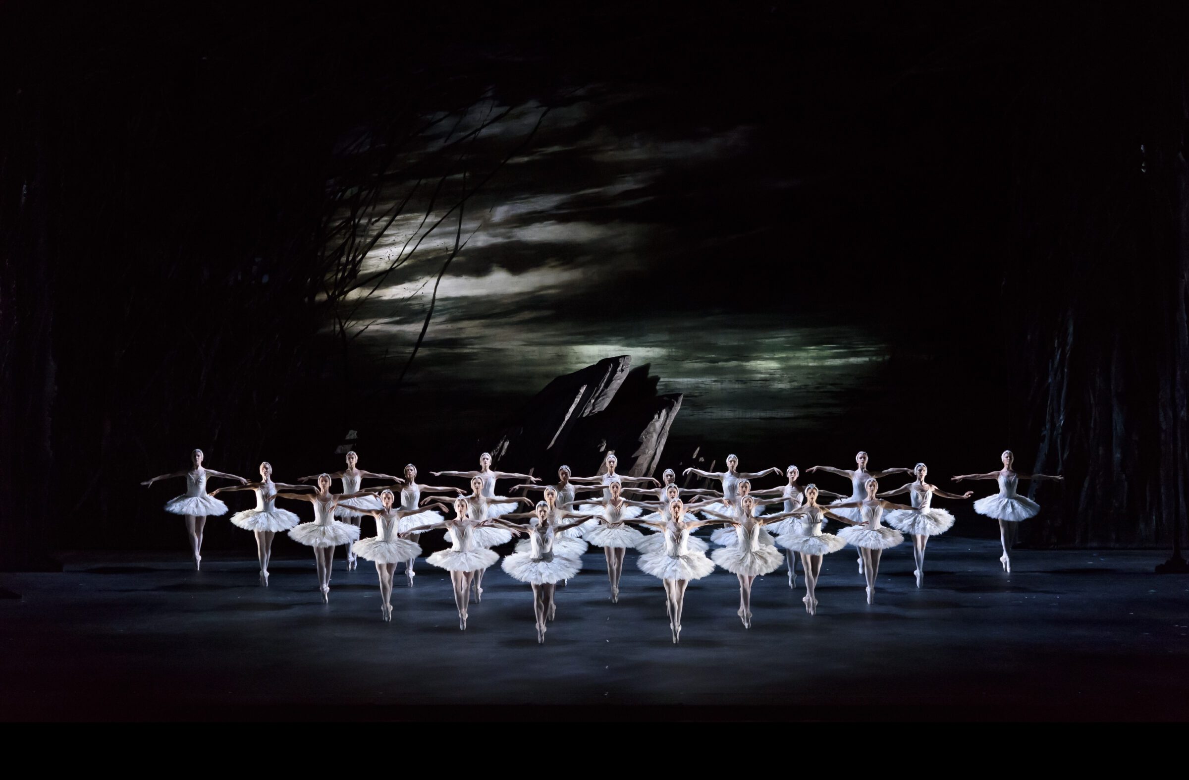 Swan Lake Wheel Chair Ticket - Image 7