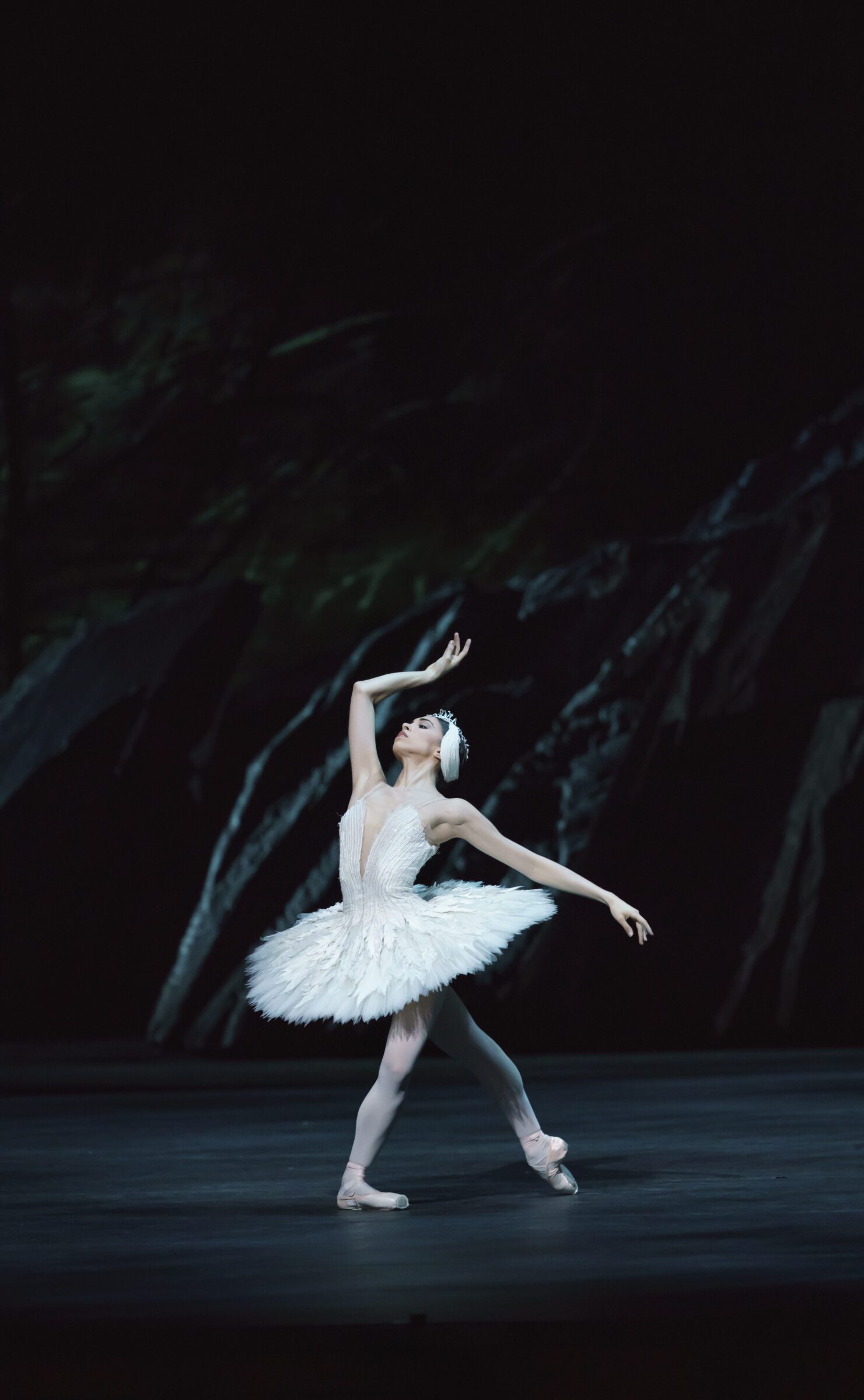 Swan Lake Wheel Chair Ticket - Image 5