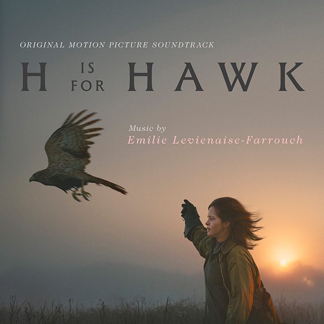 H is for Hawk – Wheel Chair Ticket